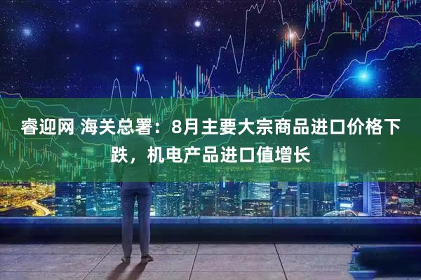 睿迎网 海关总署：8月主要大宗商品进口价格下跌，机电产品进口值增长