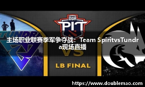 主场职业联赛季军争夺战：Team SpiritvsTundra现场直播
